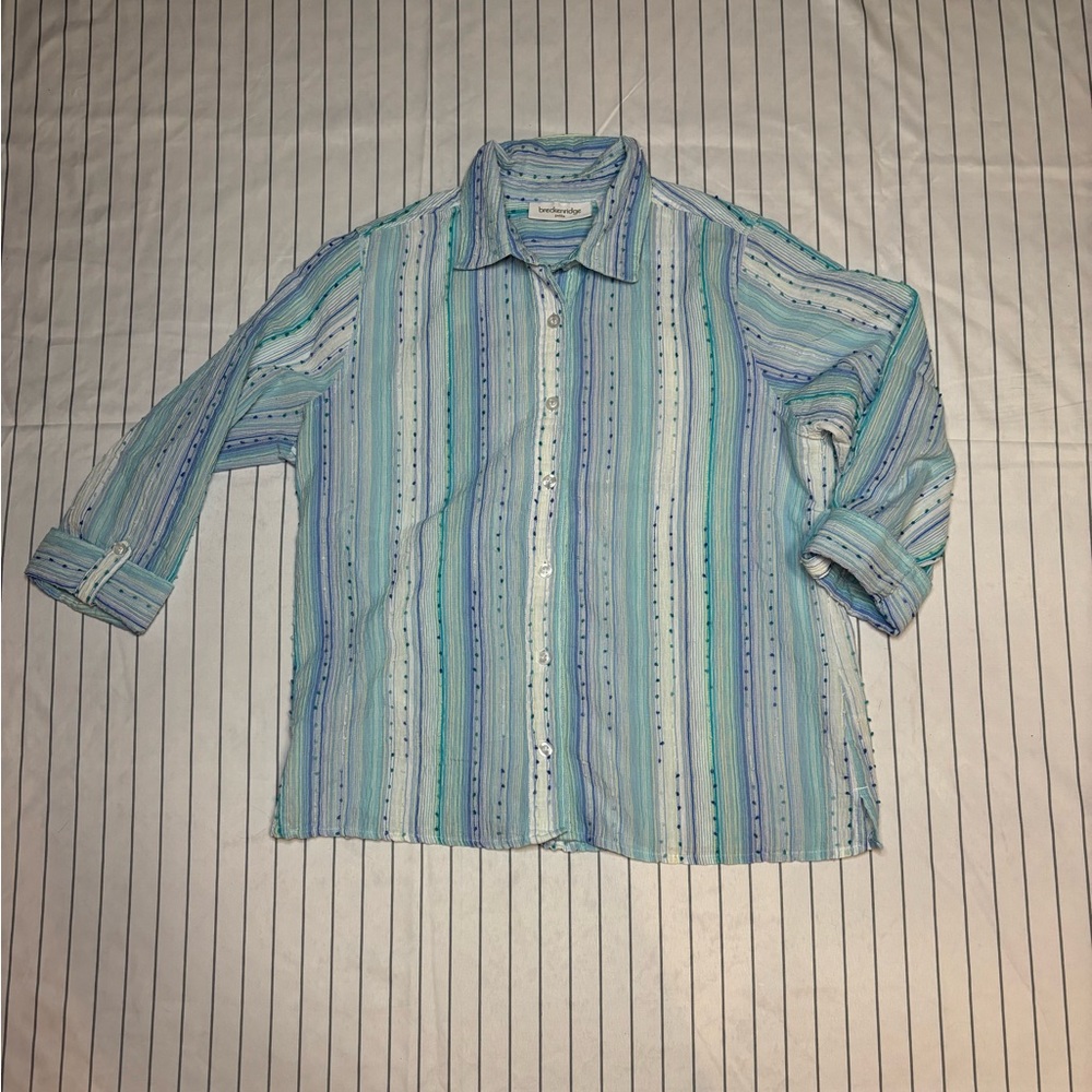Multicolor Striped Button Down Shirt